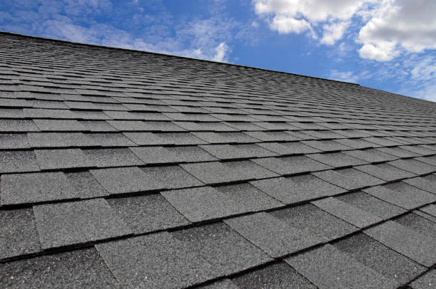 Best Roof Coating and Sealing  in Shelby, MI